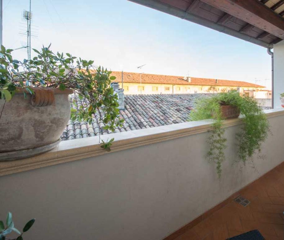 Terrazza con piante in vaso e vista sui tetti di una città.